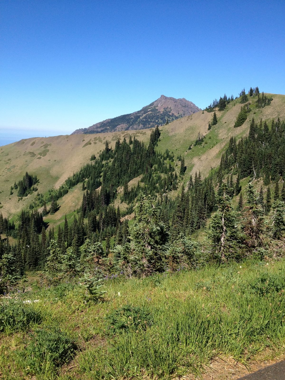 We did some mild hiking / walking.  Perfect temps